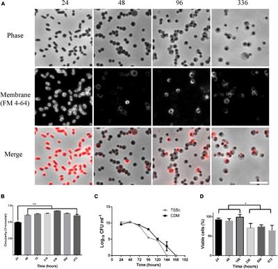 Phenotypic and transcriptional characterization of F. tularensis LVS during transition into a viable but non-culturable state